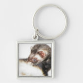 Sable Ferret Afbeelding Sleutelhanger (Voorkant)