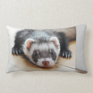 Sable Ferret Kussen
