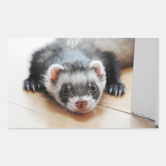 Sable Ferret Rechthoekige Sticker (Voorkant)