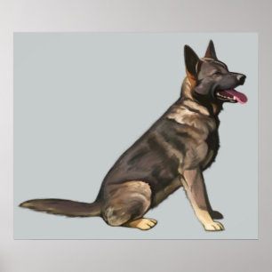 Sable German Shepherd Dog Poster