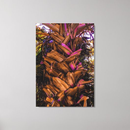 Sable Palm Trunk Canvas Afdruk (Voorkant)