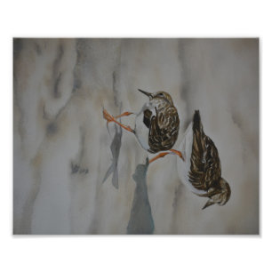 Sable Pipers Oiseau Art Reproduction Photo Imprime