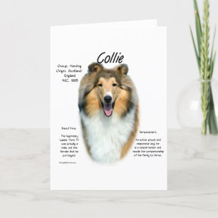 Sable Rough Collie Maak kennis met het ras Feestdagen Kaart
