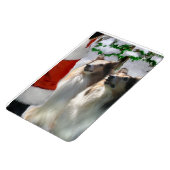 Sable Rough Collies met Kerstmis Magneet (Linkerzijde)
