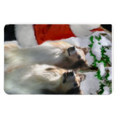 Sable Rough Collies met Kerstmis Magneet (Horizontaal)