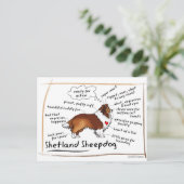 Sable Sheltie Briefkaart (Staand voorkant)