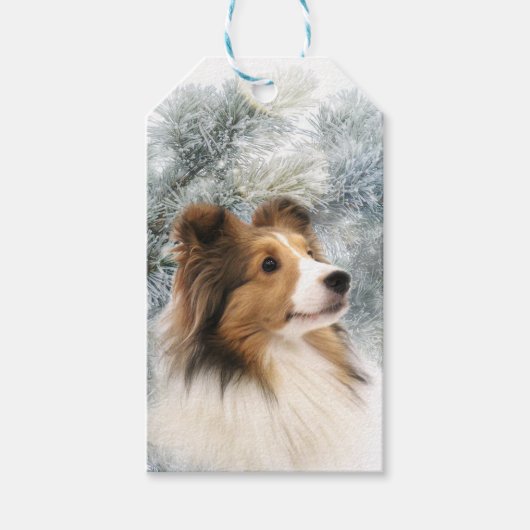 Sable Sheltie Kerstmis Cadeaulabel (Voorkant)