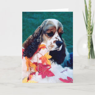 Sable witte Cocker Spaniel Kaart