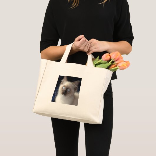 Sac (Devant (produit))