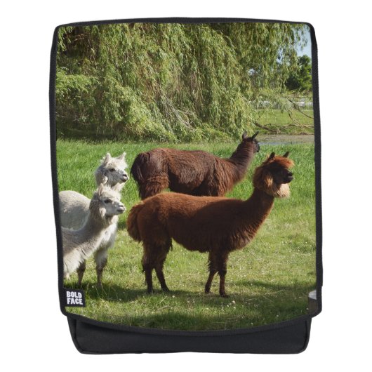 Sac À Dos Alpacas (Devant)