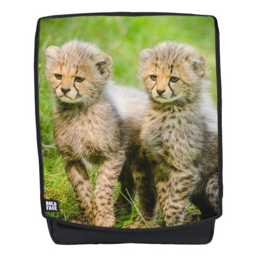 Sac À Dos Bébés Guépards (Devant)
