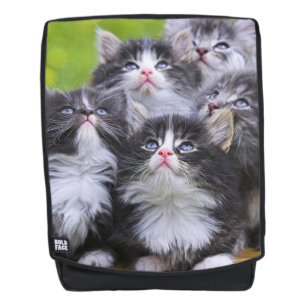 Sac À Dos Chatons