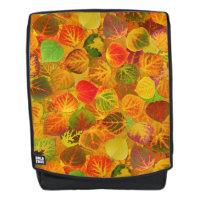 Collage Feuille en peuplier massif transparent 1