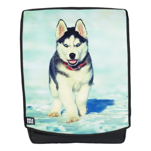 Sac À Dos Husky (Devant)