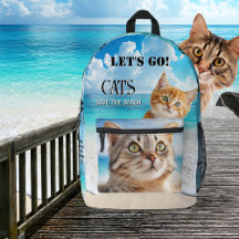 Chats et plage photo colorée