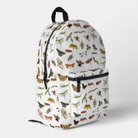 École d'illustration colorée d'insectes Vintages