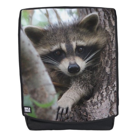 Sac À Dos Raton laveur (Devant)