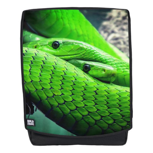 Sac À Dos Serpents verts (Devant)