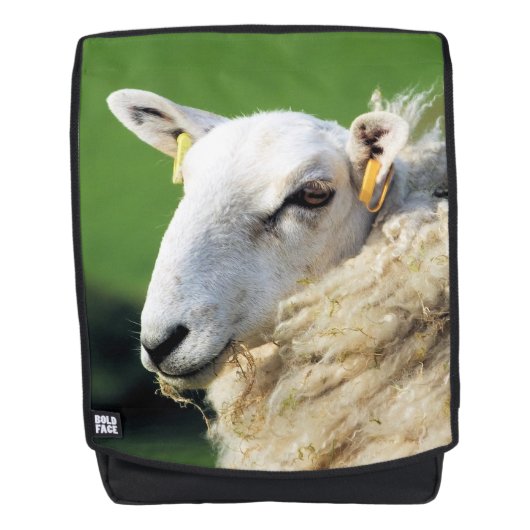 SAC À DOS SHEEP (Devant)