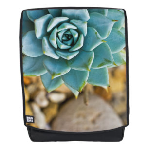 Sac À Dos Succulent aux galets