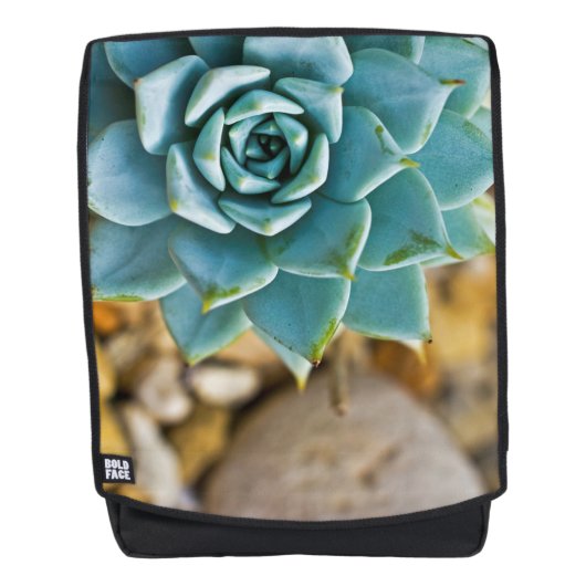 Sac À Dos Succulent aux galets (Devant)