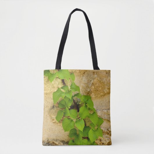 Sac à impression Hydrangea petiolaris (Devant)