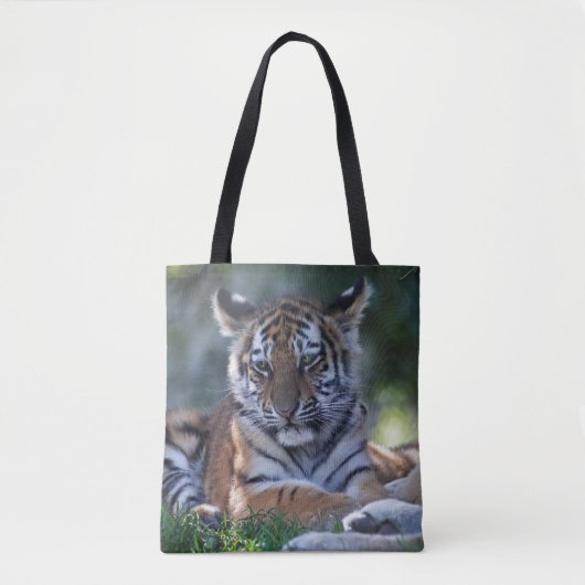 Sac à Petites Rayures (Devant)