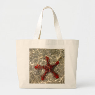 Sac à poisson étoile