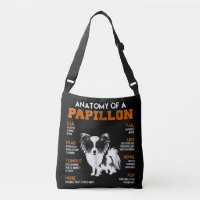 Amoureux de les chiens | Anatomie D'Un Chien Papil