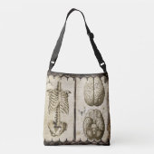 Sac Ajustable Anatomiser (Dos)
