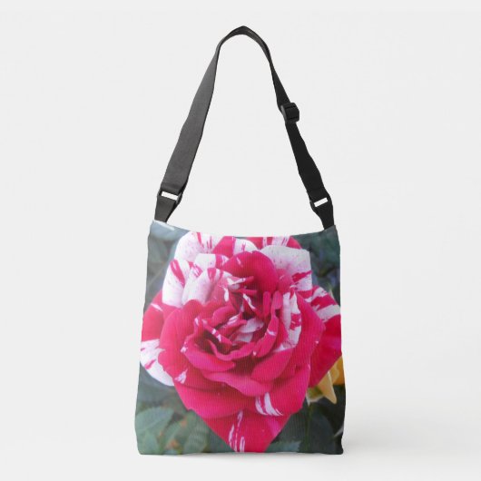 Sac Ajustable Anicia (Devant)