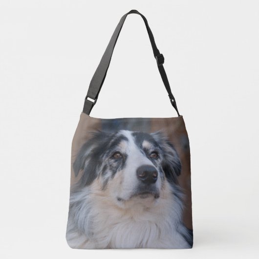 Sac Ajustable Australian Shepherd Mix Gros plan (Dos)