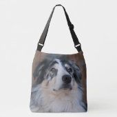 Sac Ajustable Australian Shepherd Mix Gros plan (Devant)