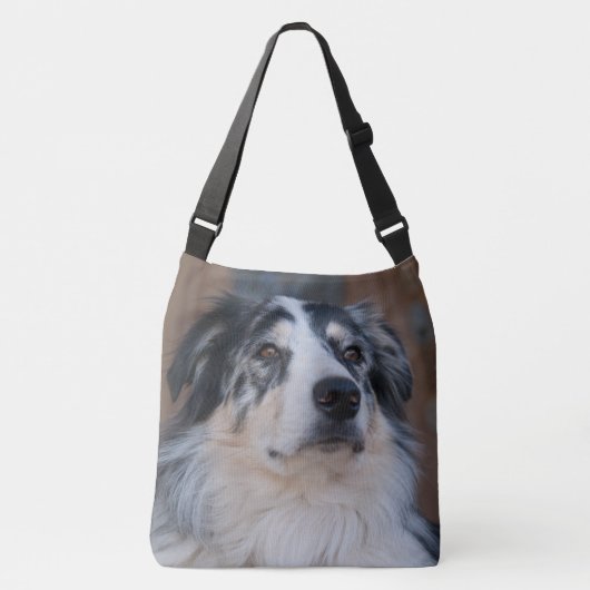 Sac Ajustable Australian Shepherd Mix Gros plan (Devant)