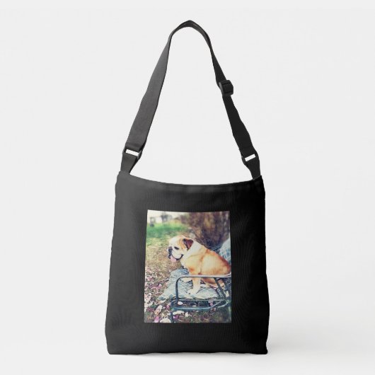 SAC AJUSTABLE BULLDOG01 (Devant)
