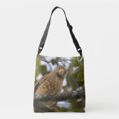 Sac Ajustable Buse à flanc de route perchée dans la forêt bélizi (Dos)