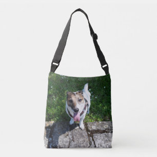 Sac Ajustable Capo von Oppenheim Jack Russell Terrier, Chien