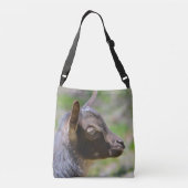 Sac Ajustable Chèvre bébé (Dos)