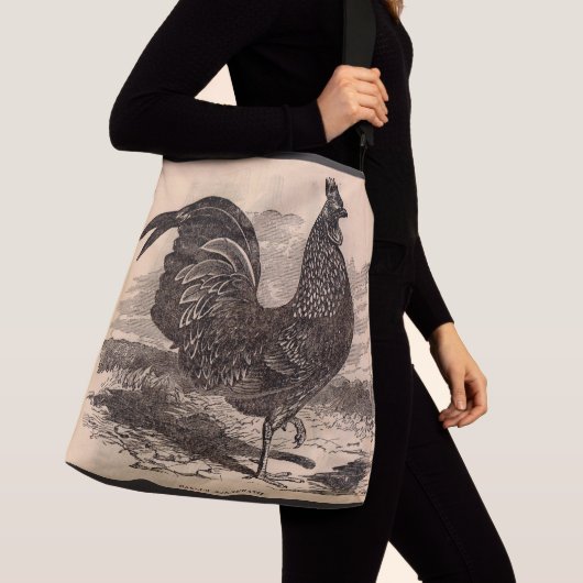 Sac Ajustable Galus Sonneratii du 19e siècle (De près)