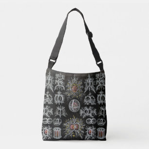 Sac Ajustable Haeckel Négatif