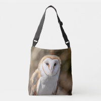 Hibou de grange