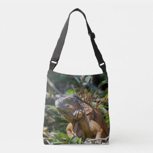 Sac Ajustable Iguane brun et orange dans la nature