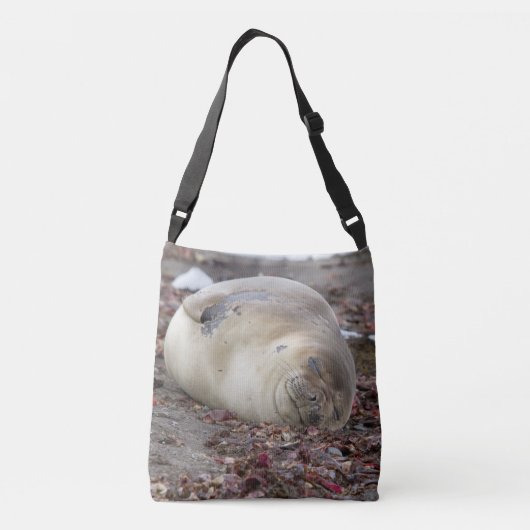 Sac Ajustable Jeune éléphant (Dos)