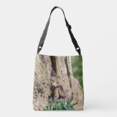 Sac Ajustable Kit Fox dans la vallée de l'Hudson (Dos)