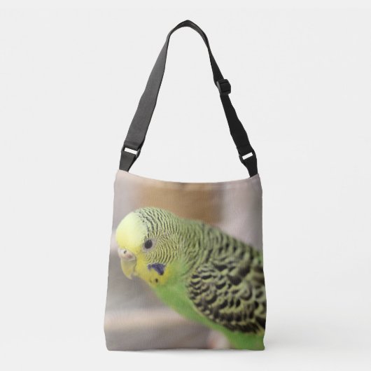 Sac Ajustable Kiwi (Devant)