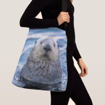 Loutre de mer qui regarde