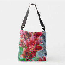 Lys Stargazer rouge – Photographie de la nature à 