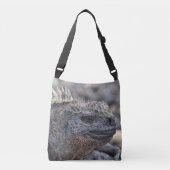 Sac Ajustable Marine Iguana (Devant)