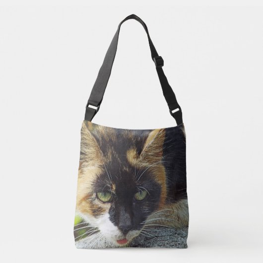 SAC AJUSTABLE MEOW ! LT.CHAT BROWN, NOIR ET VERT BLANC" (Devant)