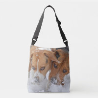 Milou flaire des beagles
